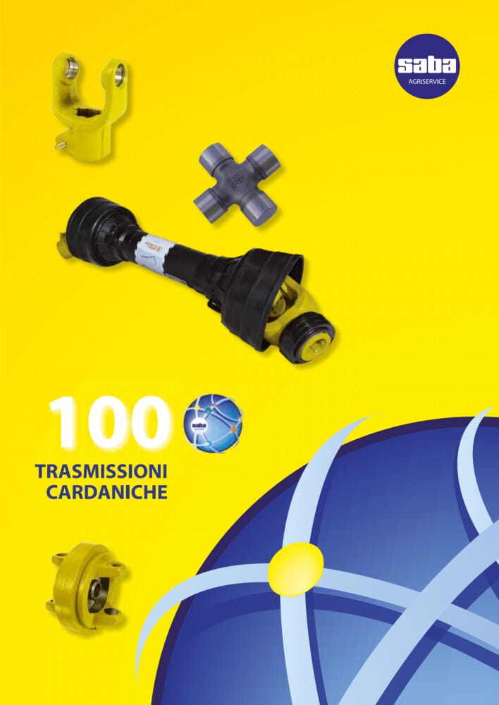 Scarica PDF
