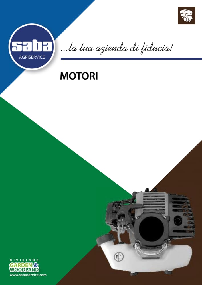 Scarica PDF
